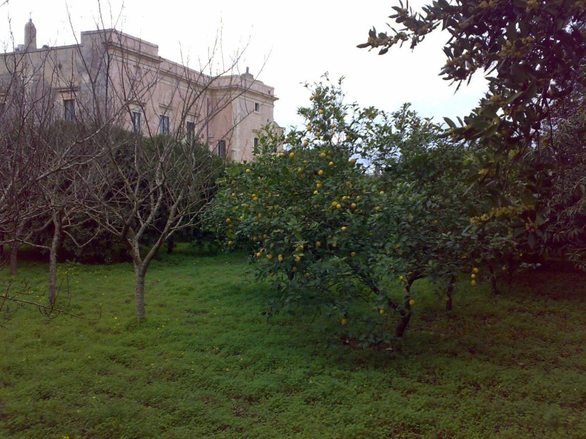 Aricelle Speziali Panzió Specchia Gallone Kültér fotó