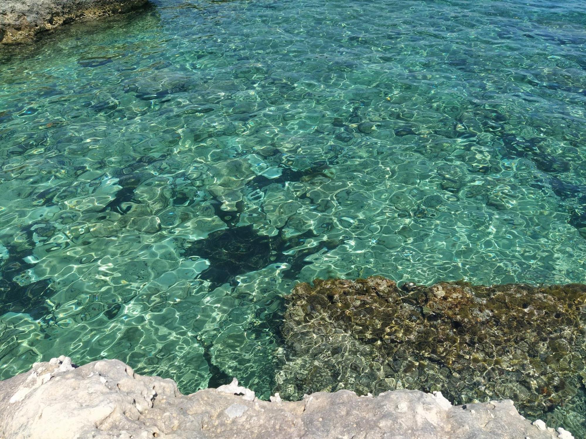 Aricelle Speziali Panzió Specchia Gallone Kültér fotó